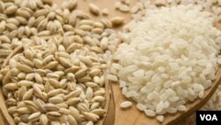 Los investigadores sostienen que la alimentación con algunos tipos de arroz reduce el desarrollo de diabetes de tipo 2.