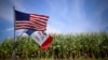 Chinese National Jailed for Stealing Corn, US Trade Secrets