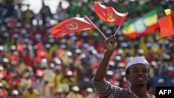 A youth waves the ruling party Ethiopian People’s Revolutionary Democratic Front (EPRDF) flag in front of a large crowd during an election rally by the EPRDF in Addis Ababa, May 21, 2015.