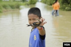 A boy and his crab just grabbed from a flooded road in Spean Tmor commune, Dangkoa district, Phnom Penh, Cambodia, on Oct. 14, 2020. (Malis Tum/VOA Khmer)