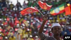 A youth waves the ruling party Ethiopian People’s Revolutionary Democratic Front (EPRDF) flag in front of a large crowd during an election rally by the EPRDF in Addis Ababa, May 21, 2015.