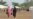 Thousands Flee as Inter-Communal Violence Heats Up in Mali