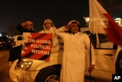 Young boys show their support for the Bahraini government, February 21, 2011