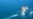 Iran Admits Seizing South Korean-Flagged Oil Tanker