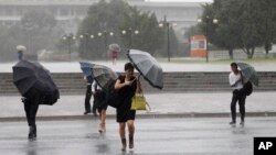 7일 평양 시민들이 태풍 '링링'의 영향으로 거세진 비바람을 우산으로 막고 있다. 