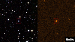 Tabby's star in Infrared and ultraviolet light. NASA Image