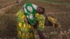 New Law a Glimmer of Hope for Women's Land Rights in Mali