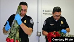 Los principales cargamentos de flores que llegaron a EE.UU. el año pasado para San Valentín fueron rosas, ramos mixtos y ramos de rosas. Los principales países de origen fueron Colombia, Ecuador y México.