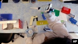 Seorang teknisi periset tengah mengkloning DNA di laboratorium penelitian imunoterapi Dr. Stanley Riddell di Pusat Penelitian Kanker Fred Hutchinson di Seattle. (Foto AP / Elaine Thompson)