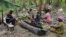 Girino Ndyanabo's family peels bananas used to make the alcoholic drink tonto and throws them into a wooden vat carved like a boat in Mbarara, Uganda, on Dec. 11, 2023. Production of the legendary drink is threatened for a variety of reasons.