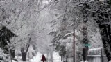 A man walks on a snowy road in Towson, Maryland. Residents along the East Coast and in the Appalachians woke up to snow and government workers and students in the Washington region were told to stay home as the area saw a round of snow that came just a few days after some parts already got several inches.