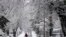A man walks on a snowy road in Towson, Maryland. Residents along the East Coast and in the Appalachians woke up to snow and government workers and students in the Washington region were told to stay home as the area saw a round of snow that came just a few days after some parts already got several inches.