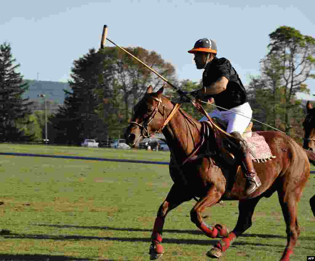 POLO в деревне