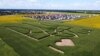 An aerial view shows corn stalks planted by Ukrainian farmers in the shape of the national coat of arms, trident, ahead of the country's 30th anniversary of independence, in a field near Boryspil International Airport outside Kyiv, July 22, 2021. (Gleb Garanich/Reuters)