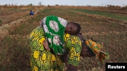 FILE - A woman, with a child on her back, is seen planting beans on a farm in Heremakono, Mali.