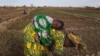 African Women Farmers Working for Better lives