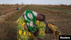 A woman with a child on her back is seen planting beans on a farm in Heremakono, Mali.