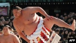 Hội Sumo Nhật Bản hủy bỏ các cuộc tranh tài mùa Xuân