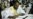 10 Tuareg Fighters Killed in Mali By Suspected Islamists