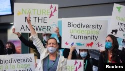 FILE: Members of WWF protest during COP15, the two-week U.N. Biodiversity summit, in Montreal, Quebec. Taken December 7, 2022. 