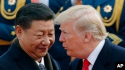 Президент США Дональд Трамп і президент Китаю Сі Цзіньпін