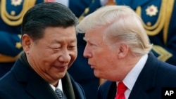 Chủ tịch Trung Quốc Tập Cận Bình và Tổng thống Mỹ Donald Trump tại Bắc Kinh năm 2017.