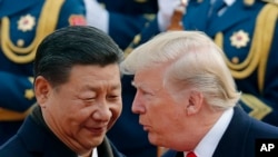 지난 2017년 11월 도널드 트럼프 미국 대통령(오른쪽)과 시진핑 중국 국가주석이 베이징 인민대회당 환영식에서 얼굴을 맞대고 대화를 나누고 있다. 
