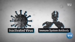 Vashington choyxonasi: Koronavirusga qarshi vaksina va virusni to'xtatishning boshqa yo'llari