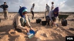 Forensic investigators brush away soil from the top of a mass grave containing 17 bodies buried nearly 30 years ago in Berbera, Somaliland. (J. Patinkin/VOA)