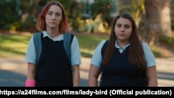 lady bird