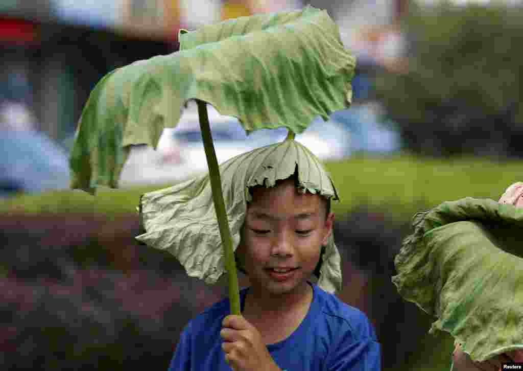 Seorang anak laki-laki mengenakan daun lotus di kepalanya dan memegang satu daun lagi di hari yang panas di Beijing, China.