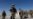 Trump Discusses Status of Taliban Talks With National Security Team