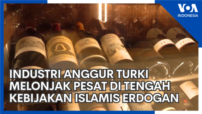 Industri Anggur Turki Melonjak Pesat di Tengah Kebijakan Islamis Presiden Erdogan