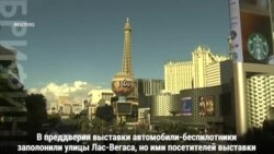 Бургеры и колготки на выставке