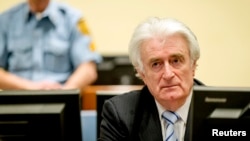 Ex-Bosnian Serb leader Radovan Karadzic sits in the court of the International Criminal Tribunal for former Yugoslavia (ICTY) in the Hague, the Netherlands, March 24, 2016. 