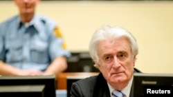 Ex-Bosnian Serb leader Radovan Karadzic sits in the court of the International Criminal Tribunal for former Yugoslavia (ICTY) in the Hague, the Netherlands, March 24, 2016. (REUTERS/Robin van Lonkhuijsen/Pool)