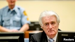 Ex-Bosnian Serb leader Radovan Karadzic sits in the court of the International Criminal Tribunal for former Yugoslavia (ICTY) in the Hague, the Netherlands, March 24, 2016. 