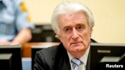 Ex-Bosnian Serb leader Radovan Karadzic sits in the court of the International Criminal Tribunal for former Yugoslavia (ICTY) in the Hague, the Netherlands, March 24, 2016. 