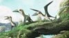 Tiny, Winged Dinosaur Was Size of a Cat