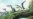 Tiny, Winged Dinosaur Was Size of a Cat