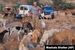 In this photograph  provided by Mashala Shelter, Hussein Hamza feeds dogs astatine  his carnal  structure  successful  Kfour, southbound  Lebanon successful  2024. (Mashala Shelter via AP)