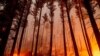 The Dixie Fire burns along a hillside near Taylorsville in Plumas County, Calif., on Friday, Aug. 13, 2021. The fire destroyed multiple homes in the area earlier in the day. (AP Photo/Noah Berger)