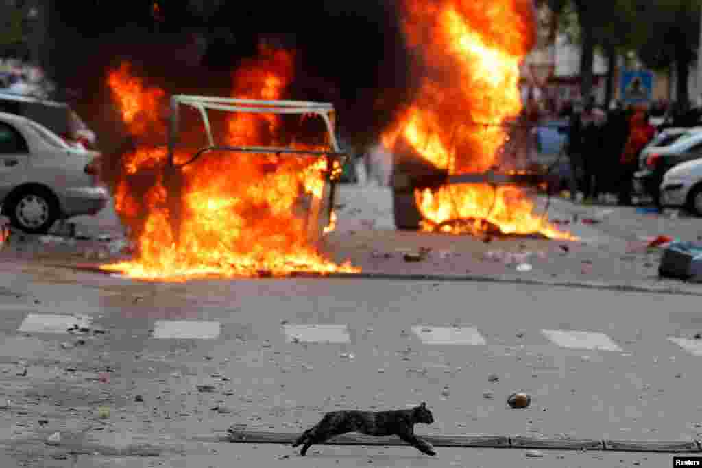 A cat runs past burning barricades during a metalworkers&#39; strike in Puerto Real, near Cadiz, Spain.