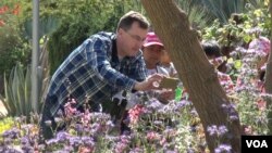 Principal Brad Rumble of Esperanza Elementary School in Los Angeles helps students document plant species. (M. O'Sullivan/VOA)