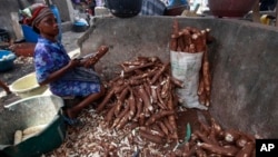 A woman peels cassava to make cassava flour in a market in Lagos, Nigeria, May 2013.