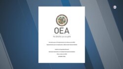 OEA concluye que hubo manipulación en las elecciones para favorecer a Evo Morales