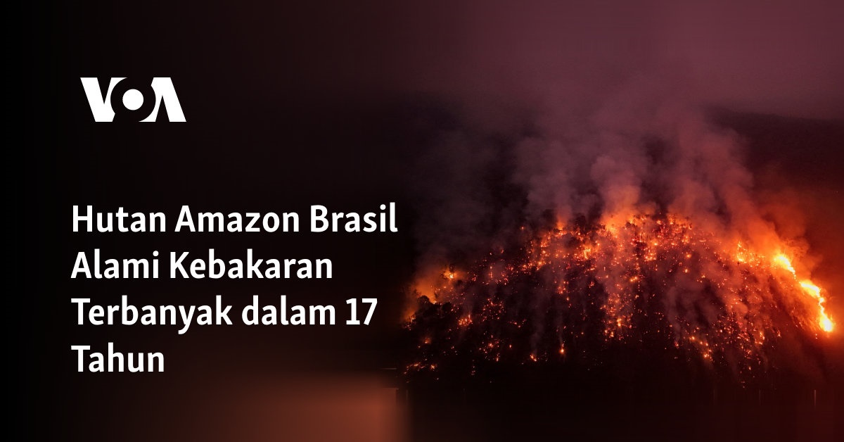 Hutan Amazon Brasil Alami Kebakaran Terbanyak dalam 17 Tahun