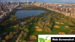Nyu York