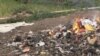 Report: Health of 200 Million Threatened by Pollution