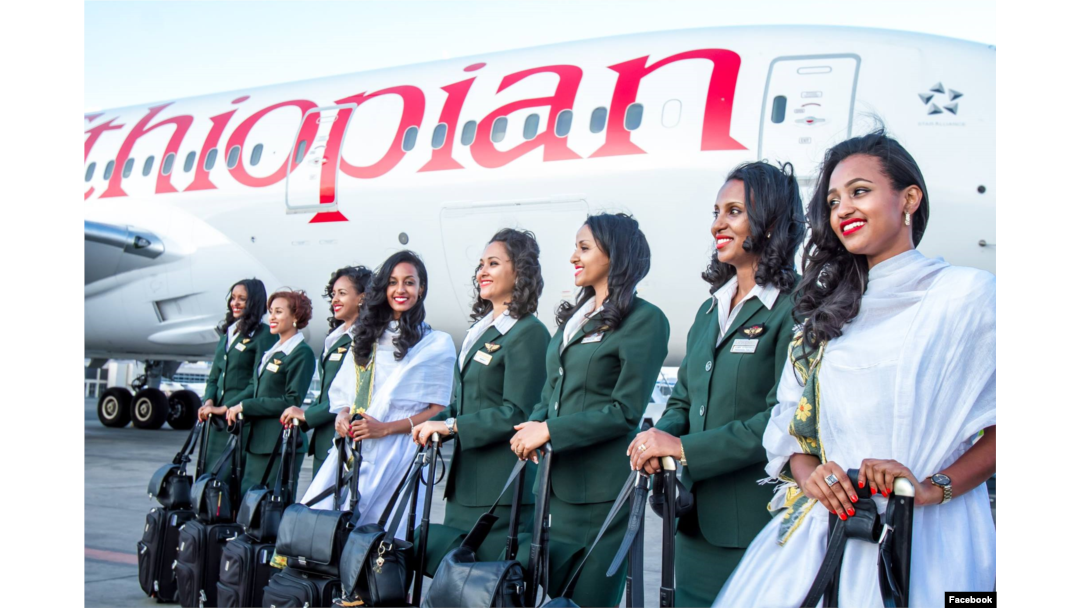 airline cockpit crew